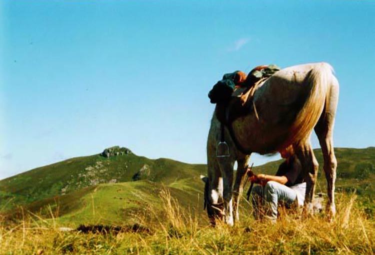 Equitation au Lac de Pareloup