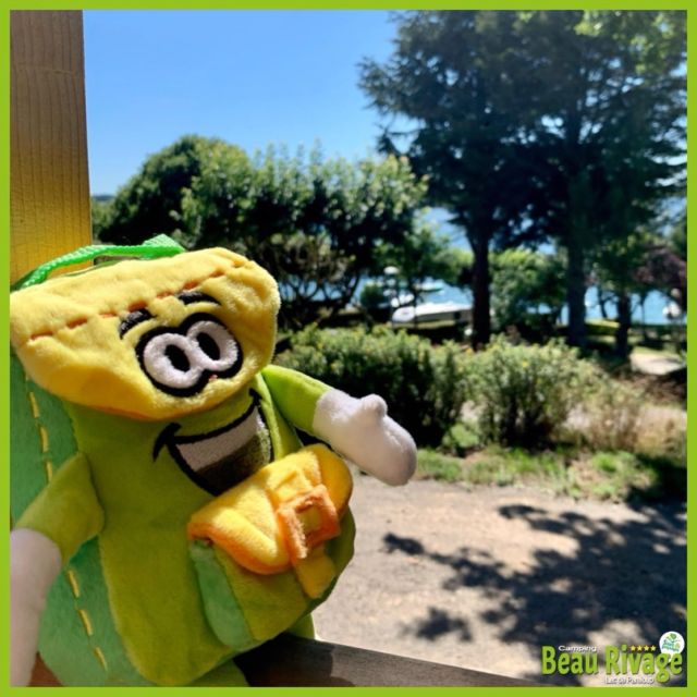 Pako vous souhaite de bonnes vacances ! ☀️😎💛

#tourism #tourismefrance #tourismeoccitanie #aveyrontourisme #aveyron #aveyronemotion #camping #lacdepareloup #vacances #holidays