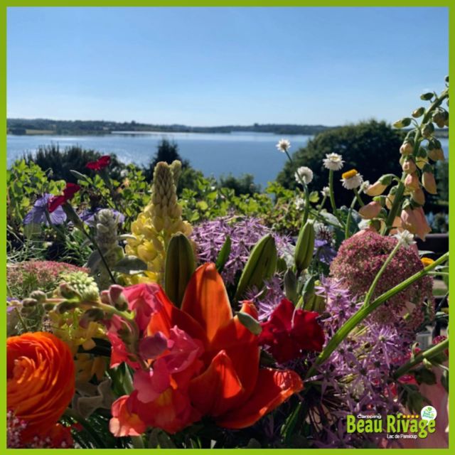 💚💐💚💐
 
#aveyron #aveyrontourisme #aveyronemotion #lacdepareloup #pareloup #valentineday #saintvalentin #amour #love #flowers #fleurs